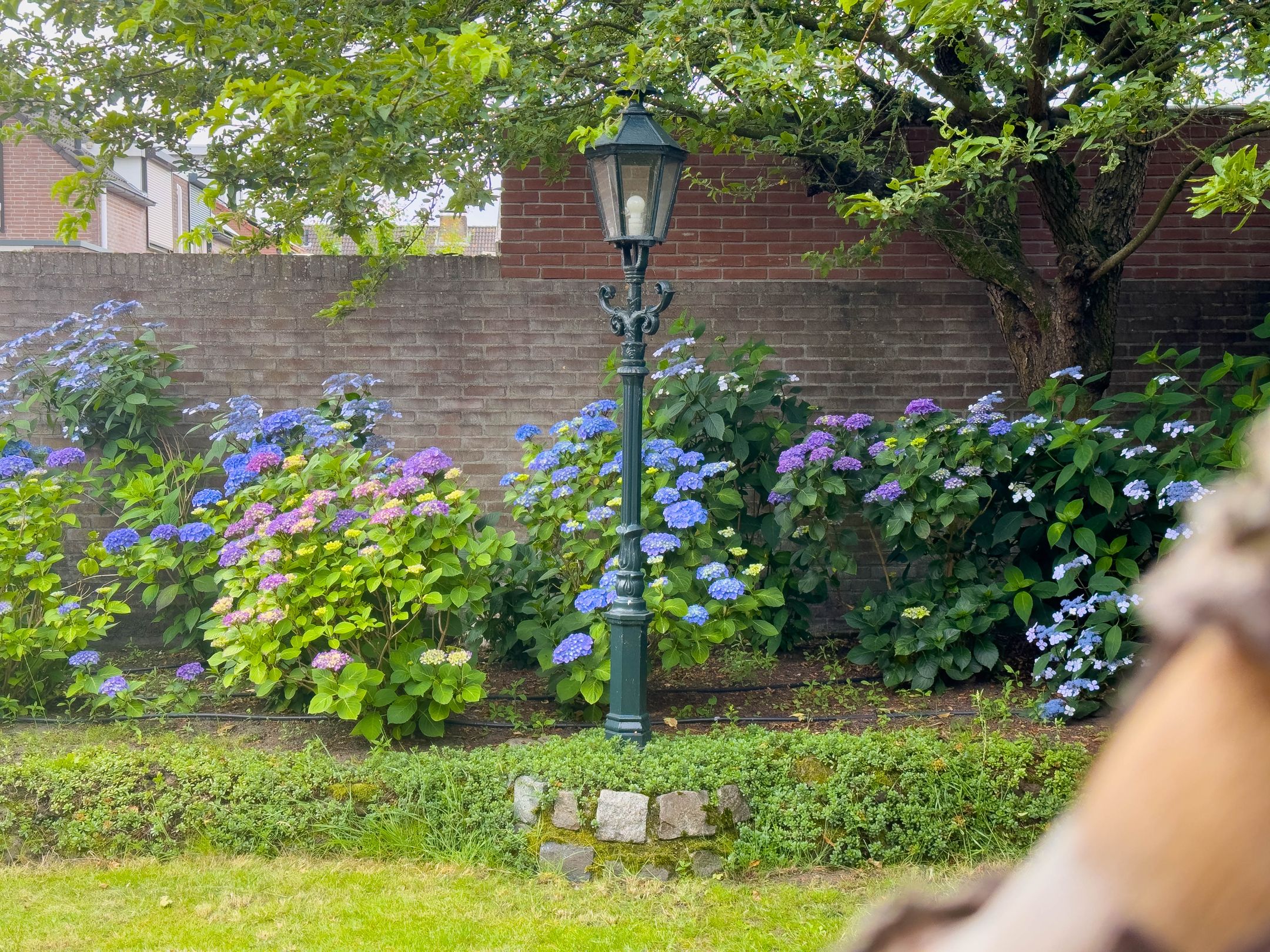 Foto 45 van de Branden 18
