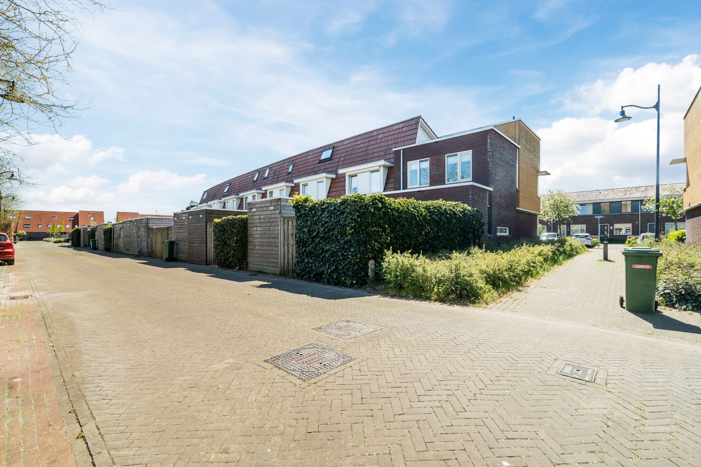 Foto 40 van Vuurvlinder 20