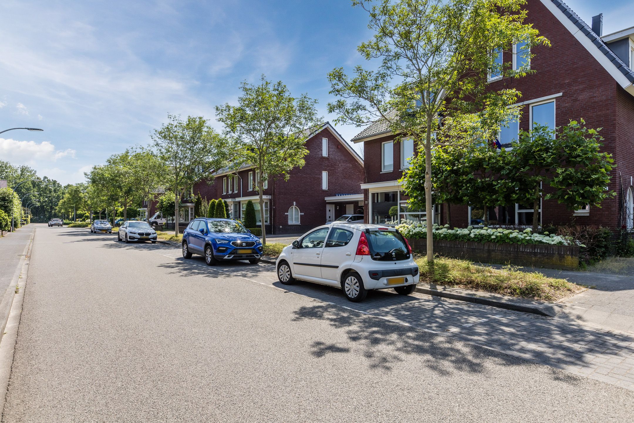 Photo 48 of Parelmoervlinder 11