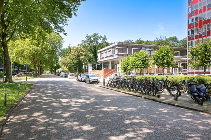 Foto 5 van Laan van Vollenhove 786