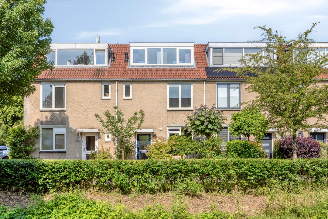 Foto 1 van Zwaan 3