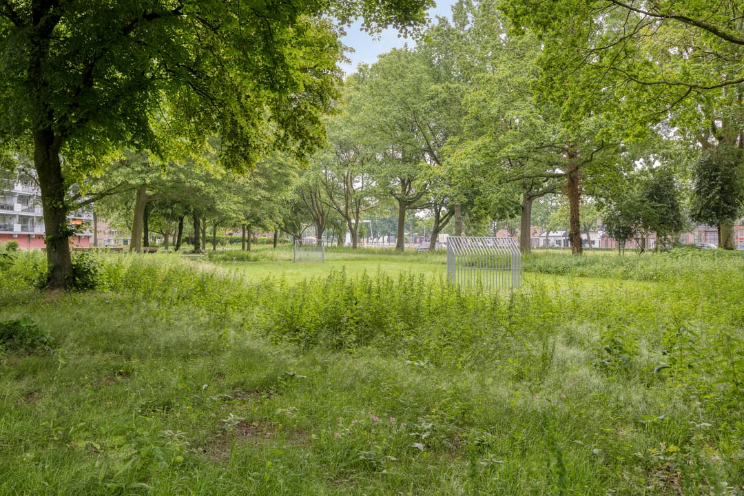 Photo 61 of Cannabichstraat 68