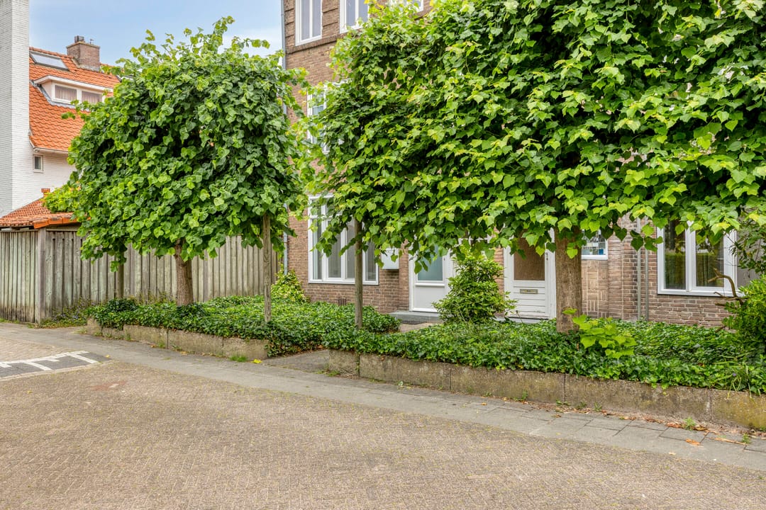 Photo 56 of St Adrianusstraat 3