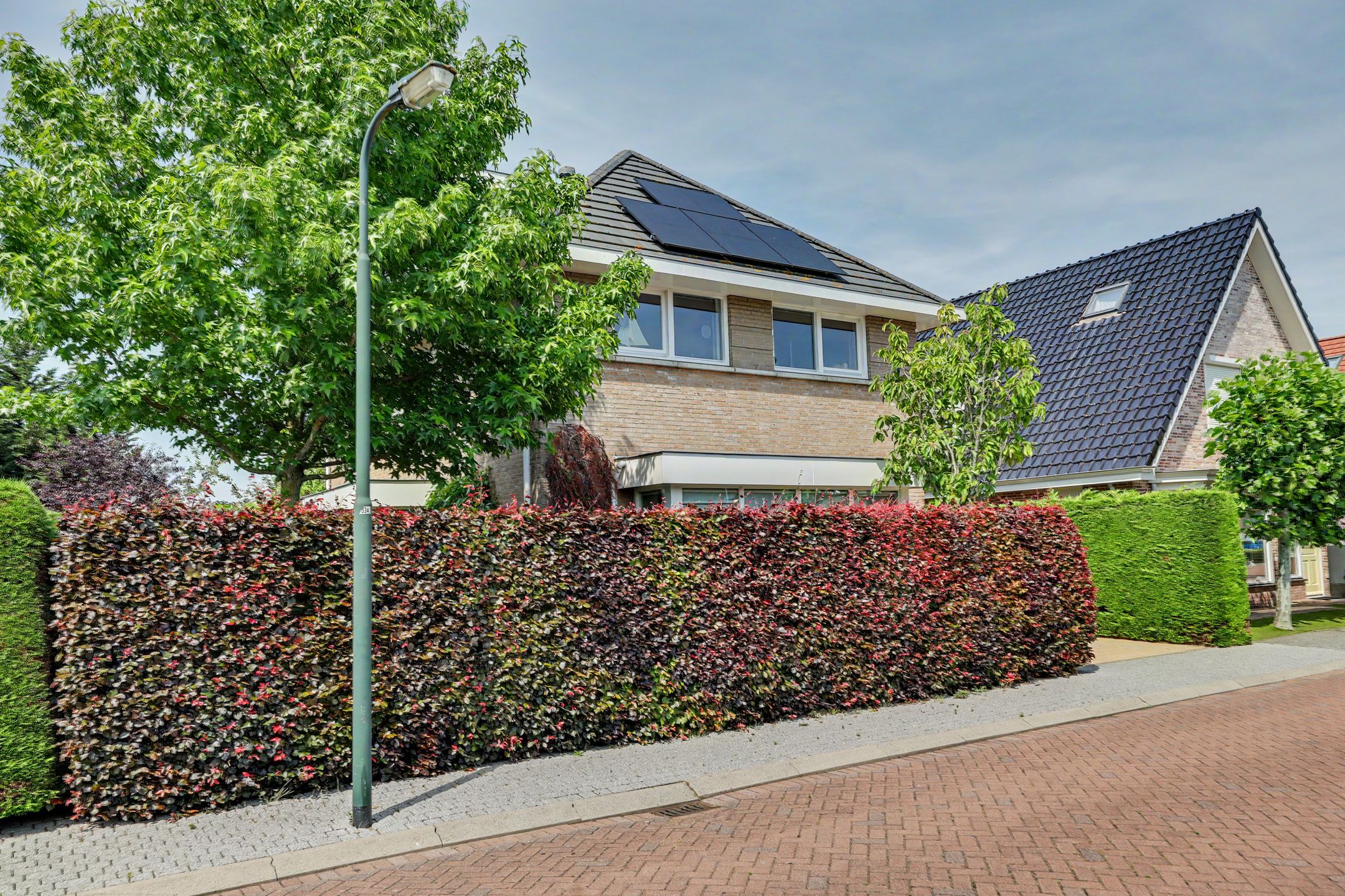 Photo 6 of Philips van Dorpstraat 43