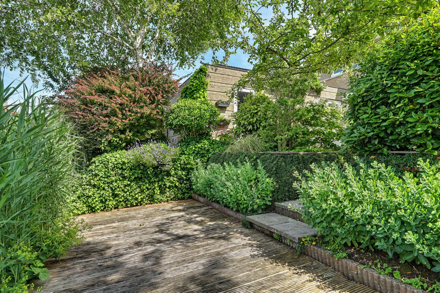 Photo 59 of Philips van Dorpstraat 43