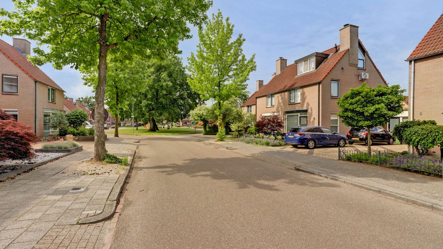 Photo 5 of De Regenwulp 8