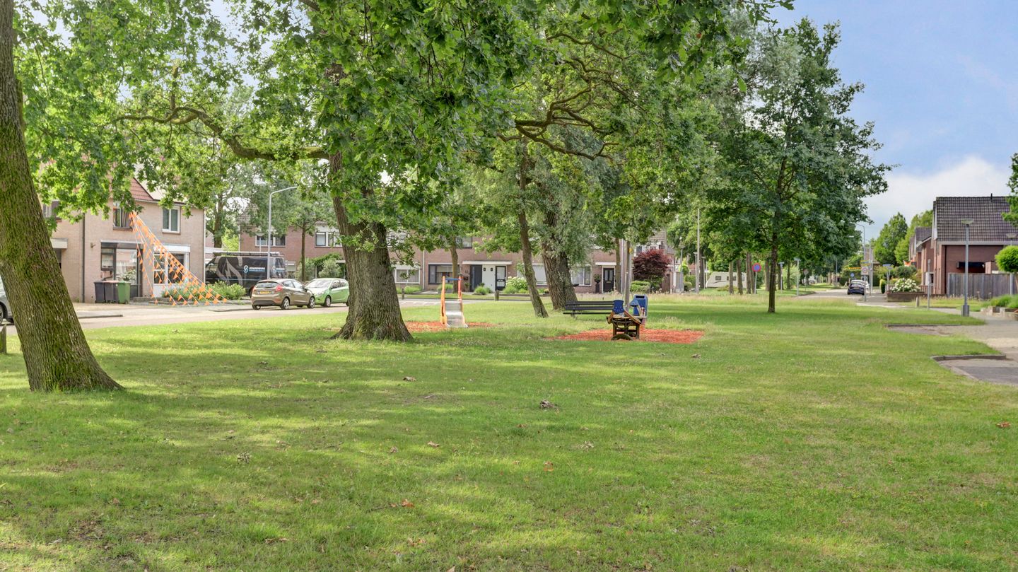 Photo 4 of De Regenwulp 8