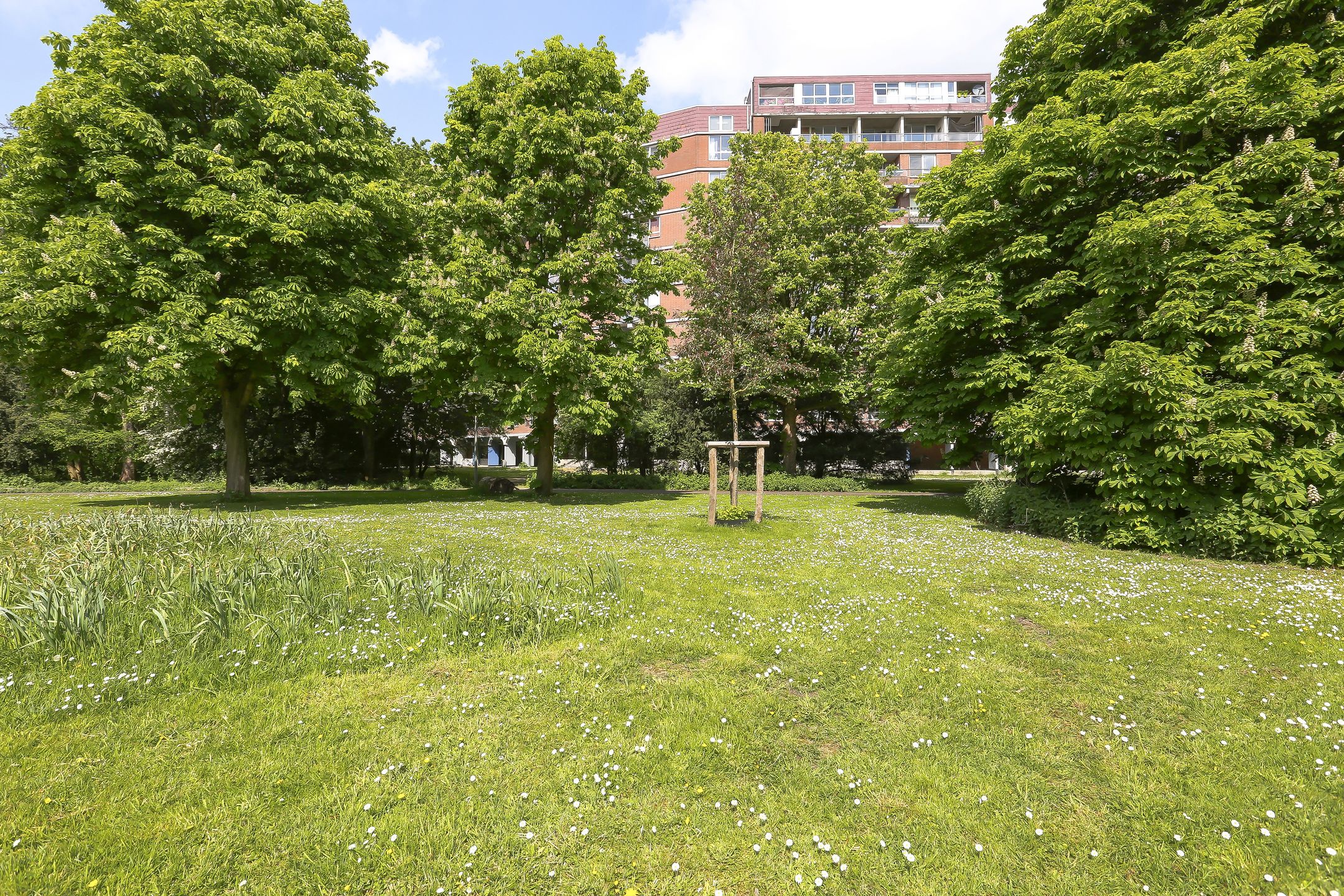 Photo 36 of Leksmondhof 217