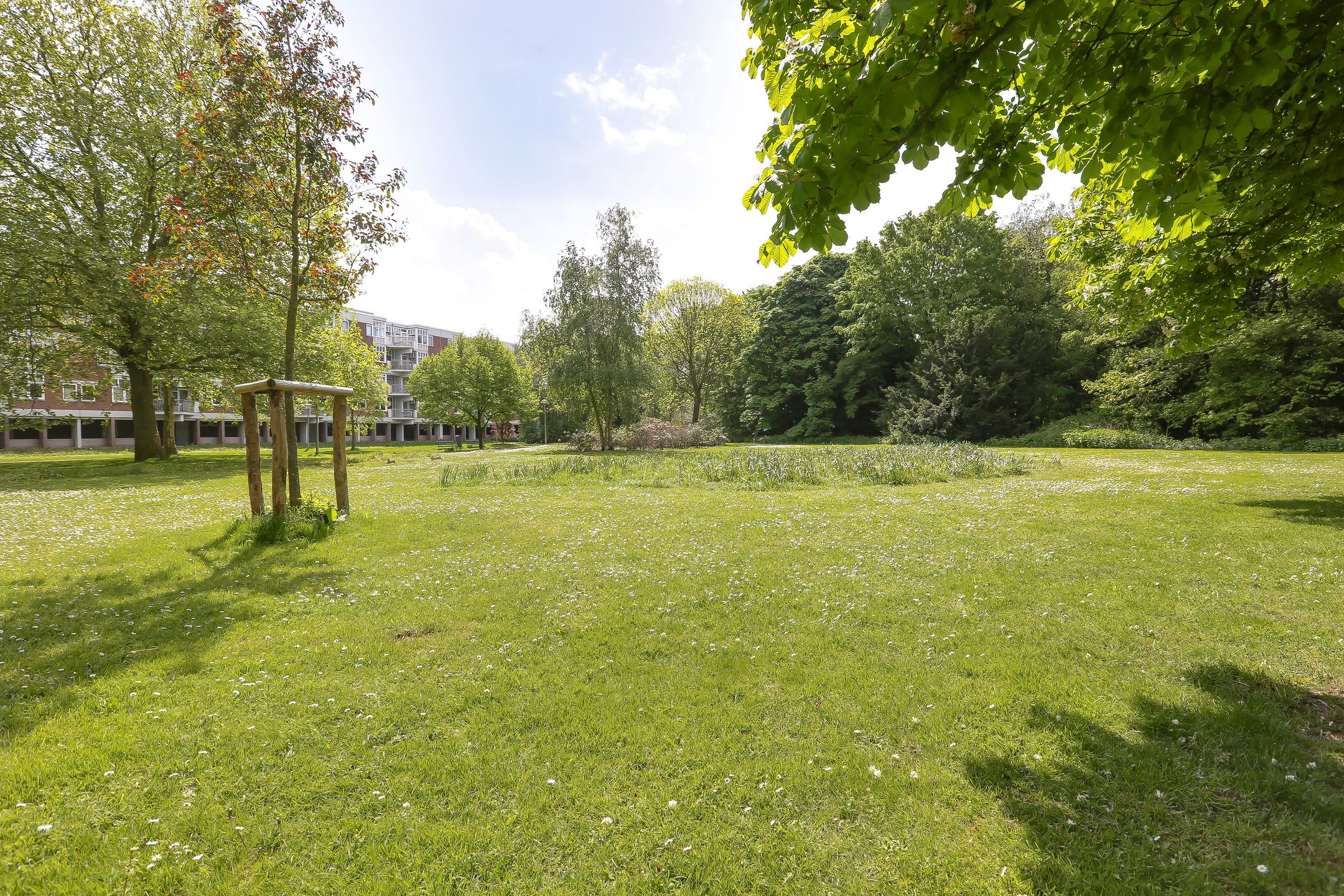Photo 39 of Leksmondhof 217