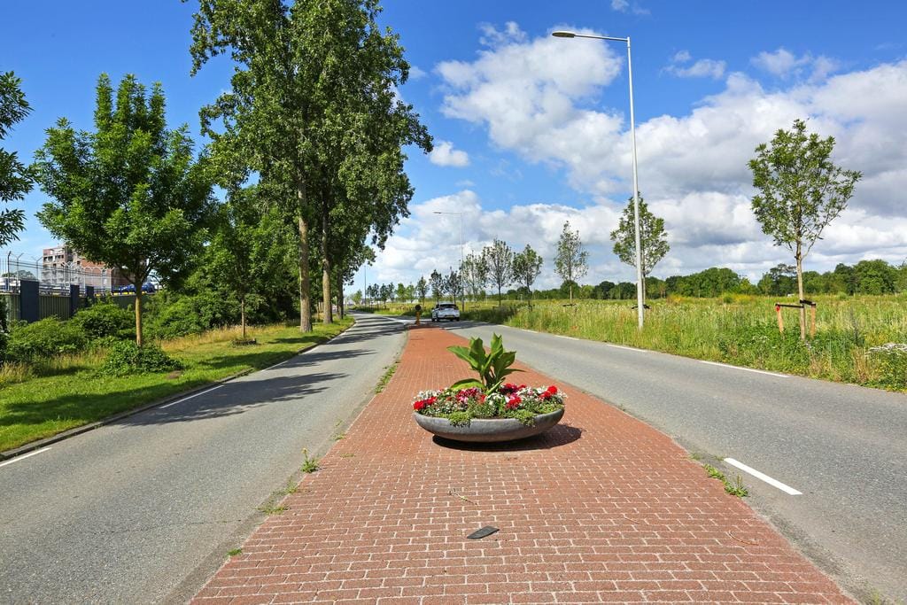 Photo 42 of Leksmondhof 217