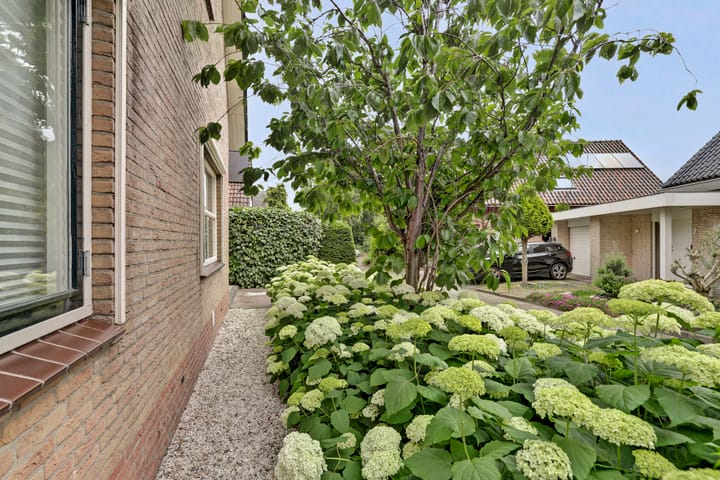 Photo 3 of Blauwveen 5