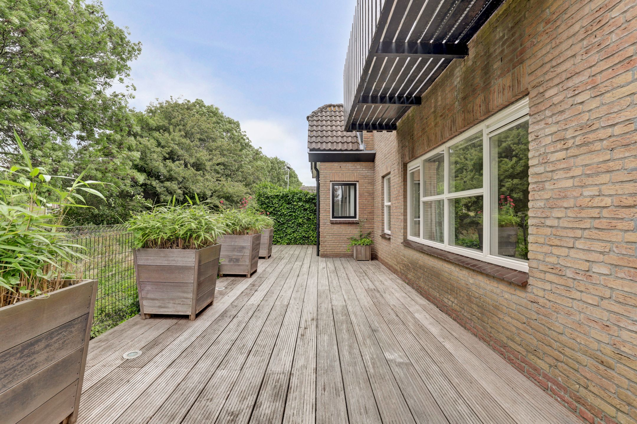 Photo 45 of Blauwveen 5