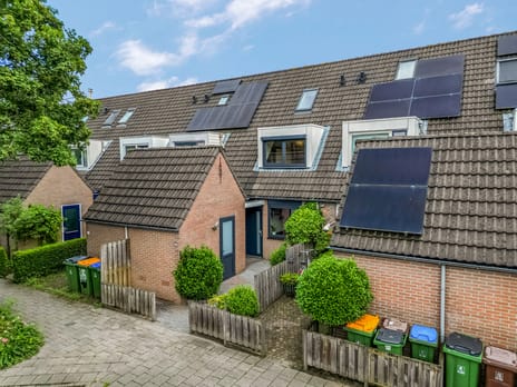 Ruisdaelstraat thumbnail