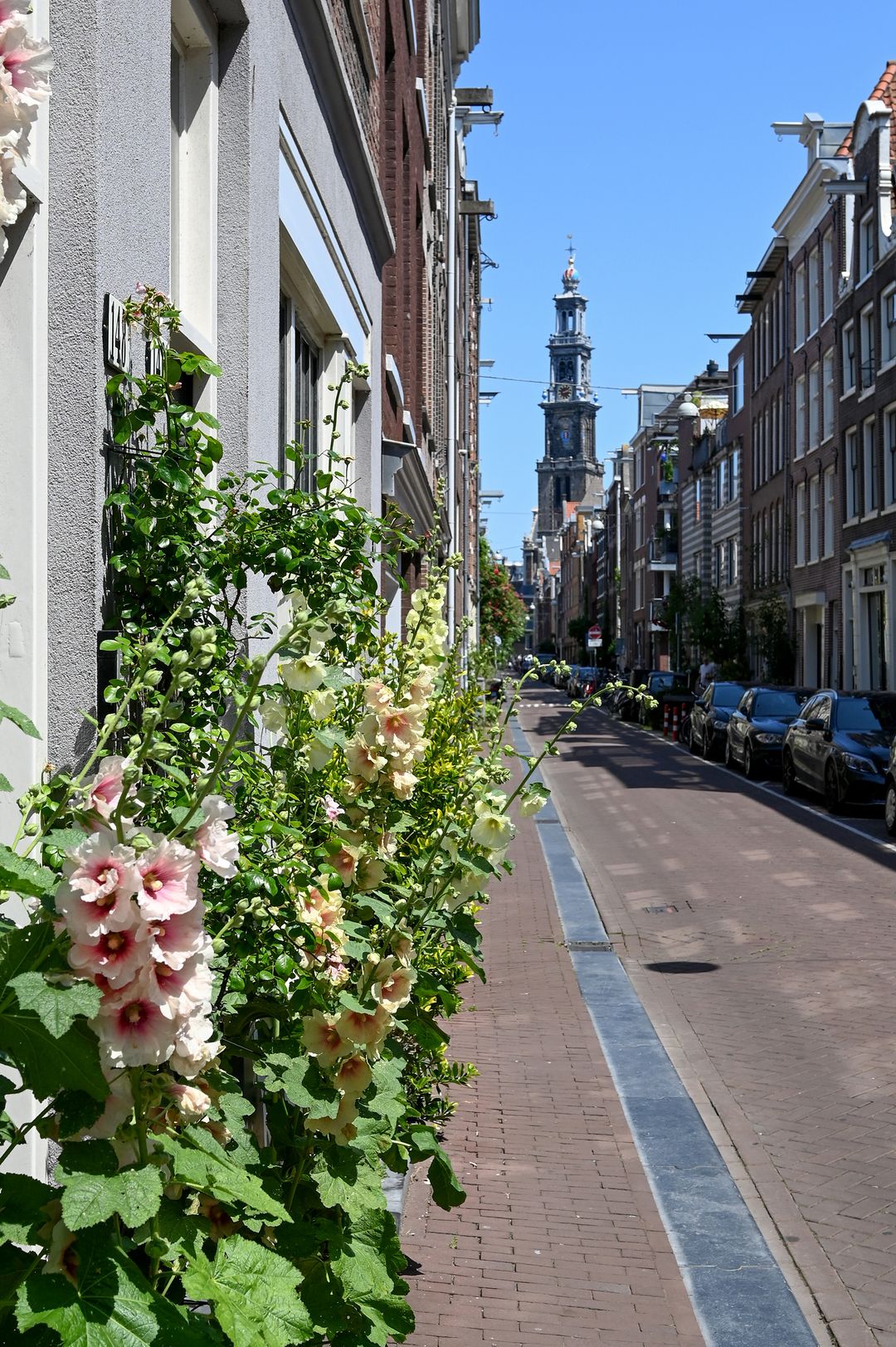 Photo 2 of Akoleienstraat 5-1