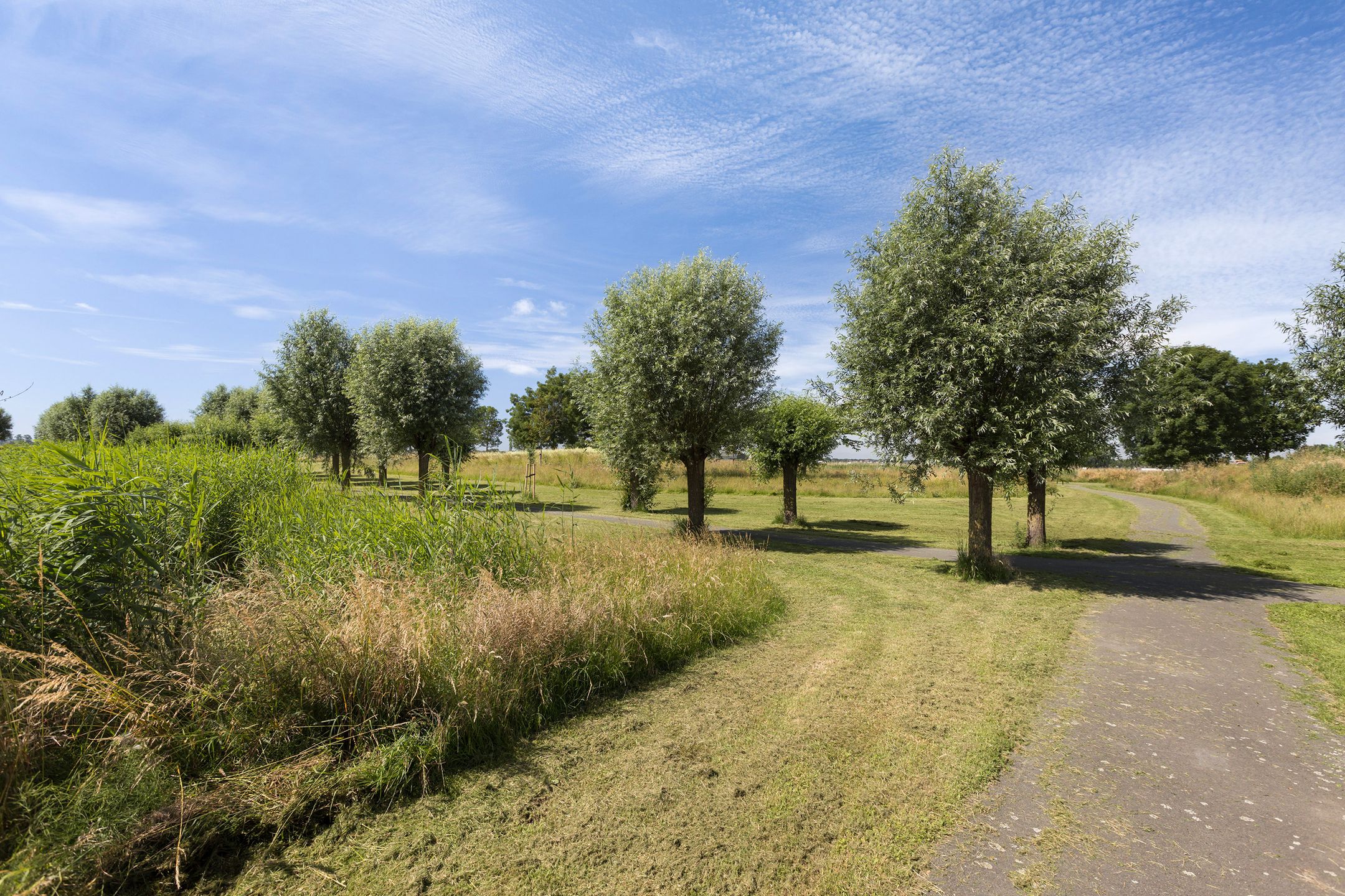 Photo 48 of Johannes Kolfstraat 30