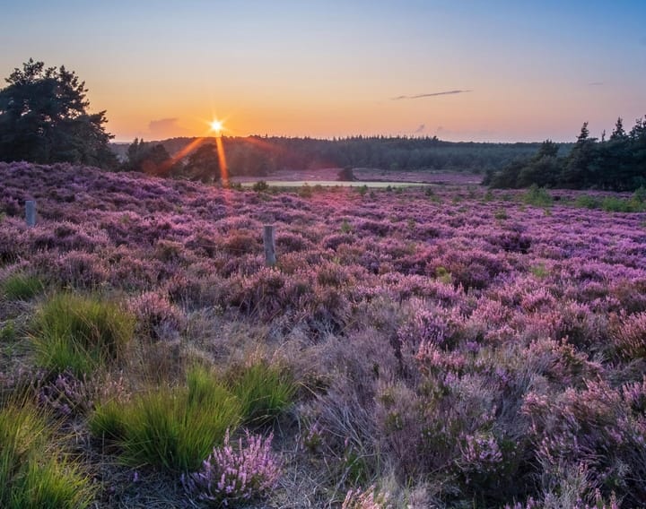 Foto 5 van Terhoeksweg 1-A