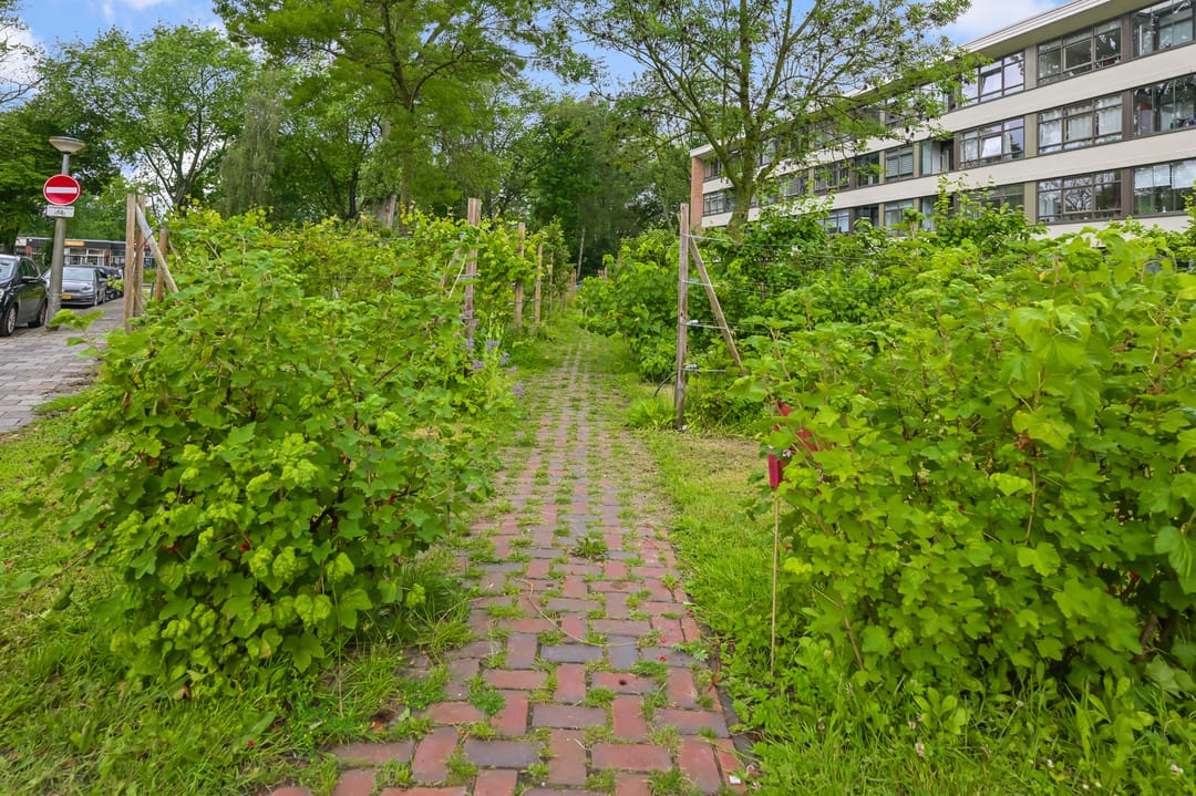 Photo 23 of Van Moerkerkenstraat 81