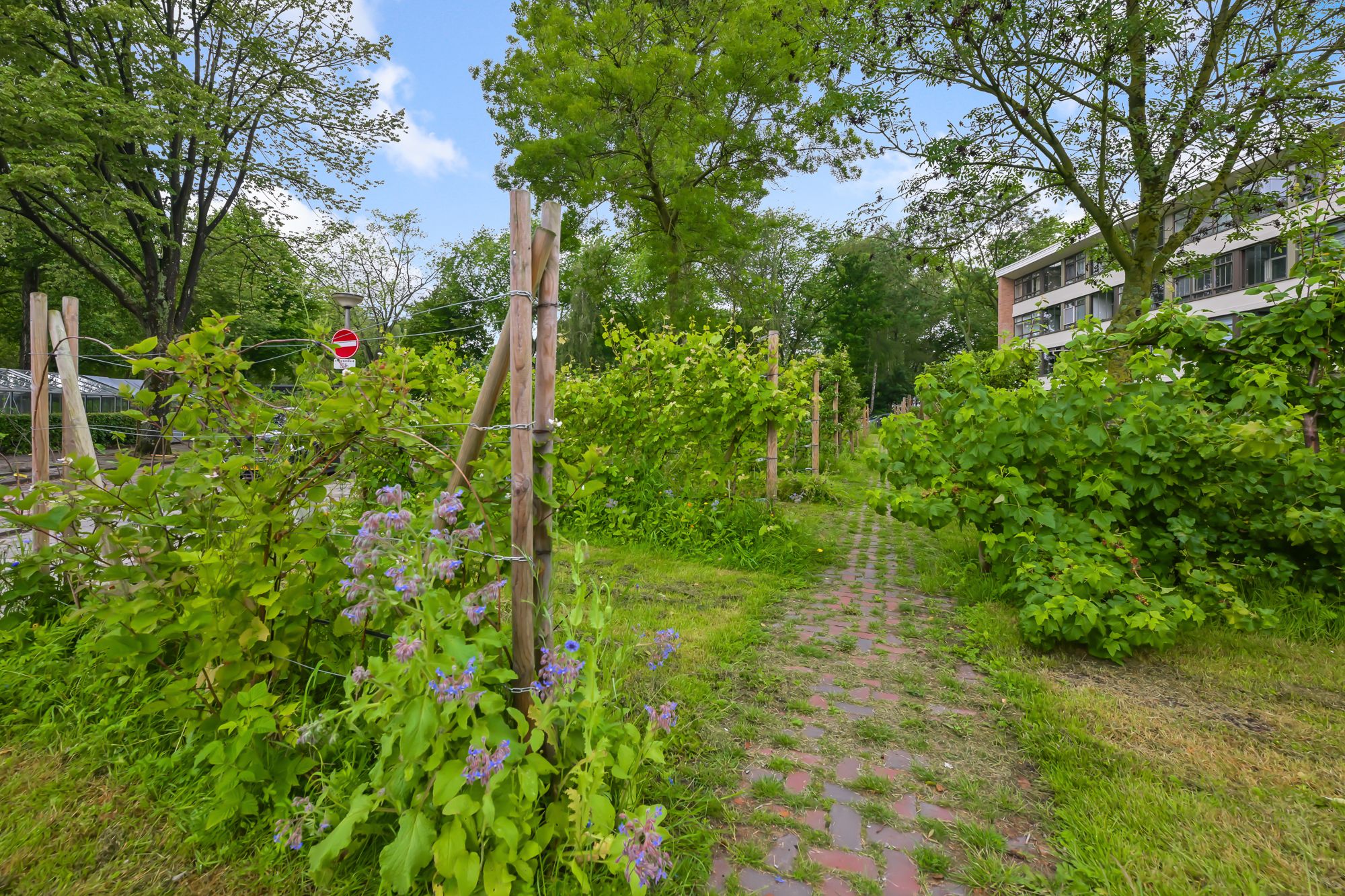 Photo 24 of Van Moerkerkenstraat 81