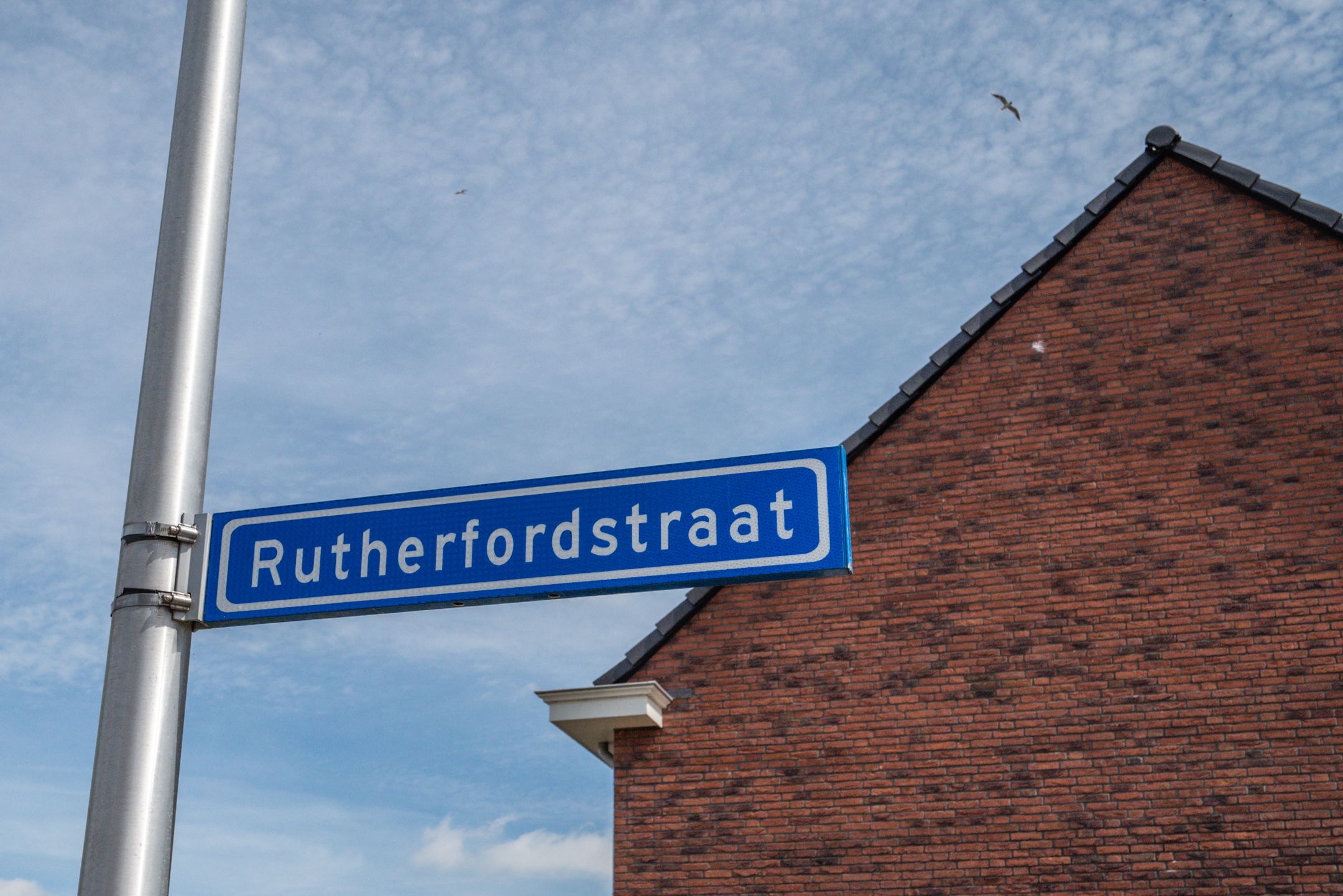 Foto 48 van Rutherfordstraat 5