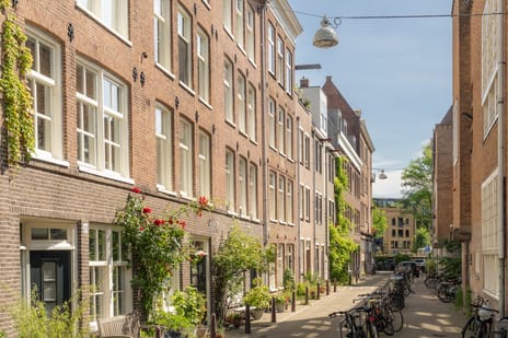 Palmstraat thumbnail