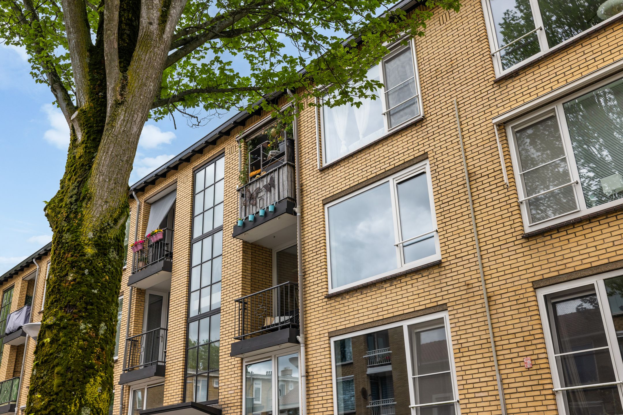 Foto 45 van Louise de Colignystraat 88