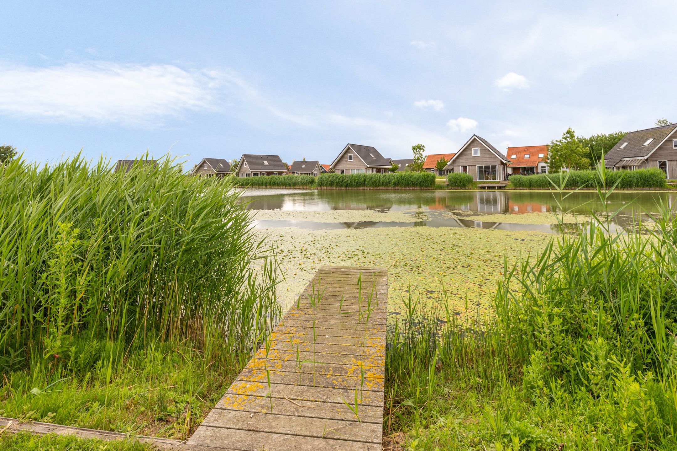 3-bedroom freehold villa in Nieuwvliet — photo 5 of 5
