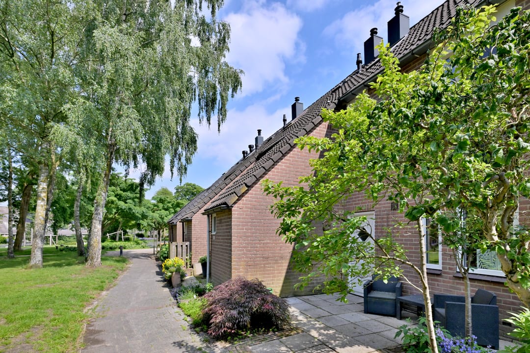Photo 28 of Boskrekel 28