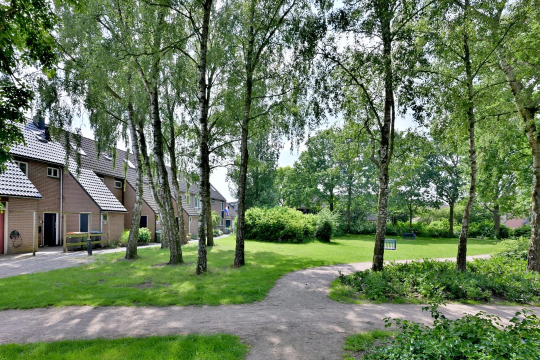 Photo 31 of Boskrekel 28