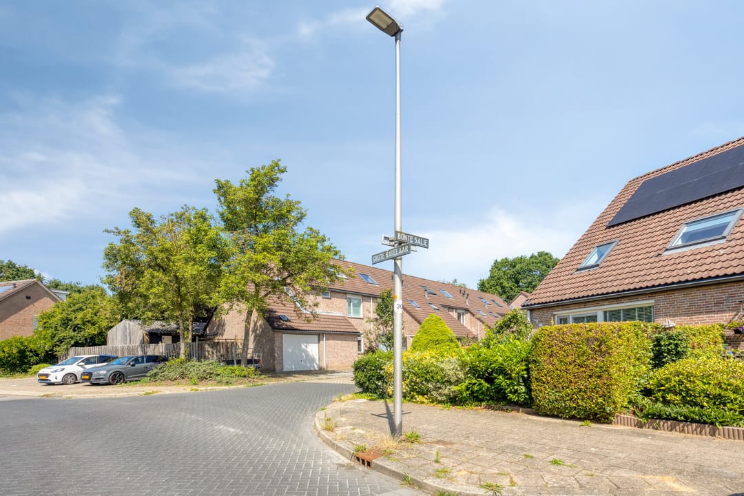 Photo 37 of Grote ratelaar 117