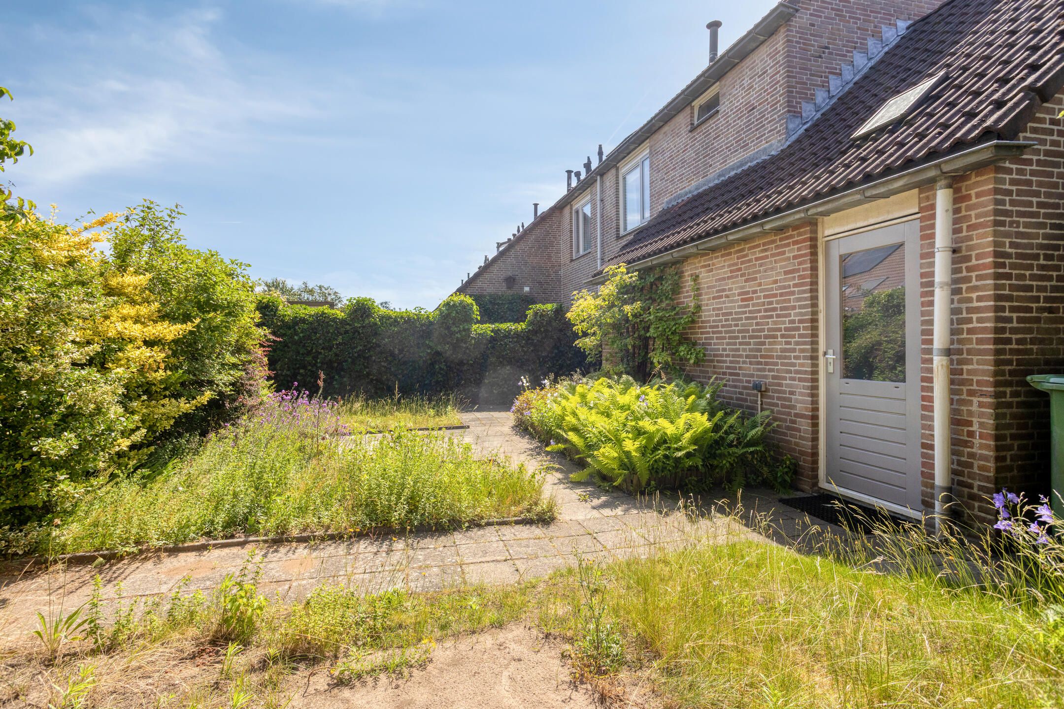 Photo 33 of Grote ratelaar 117