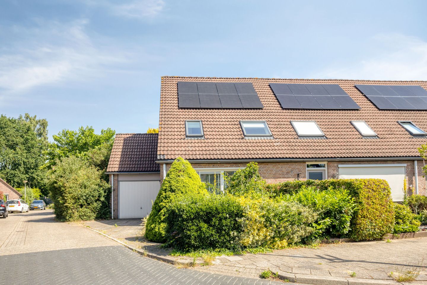 Photo 4 of Grote ratelaar 117