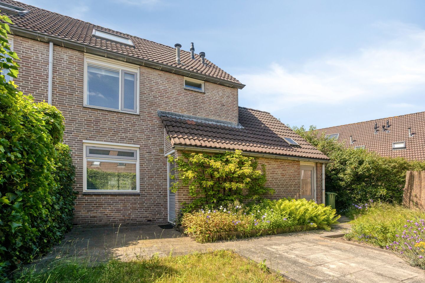 Photo 34 of Grote ratelaar 117