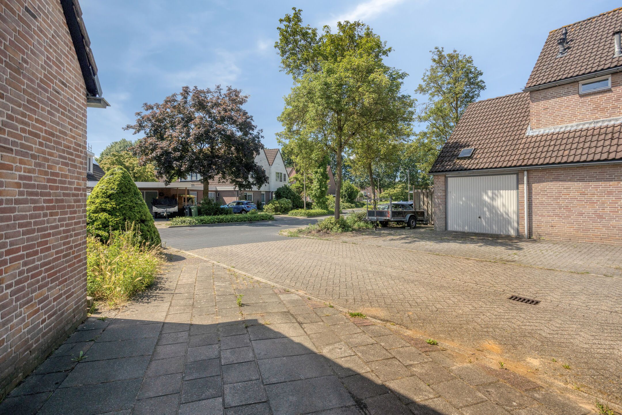 Photo 36 of Grote ratelaar 117