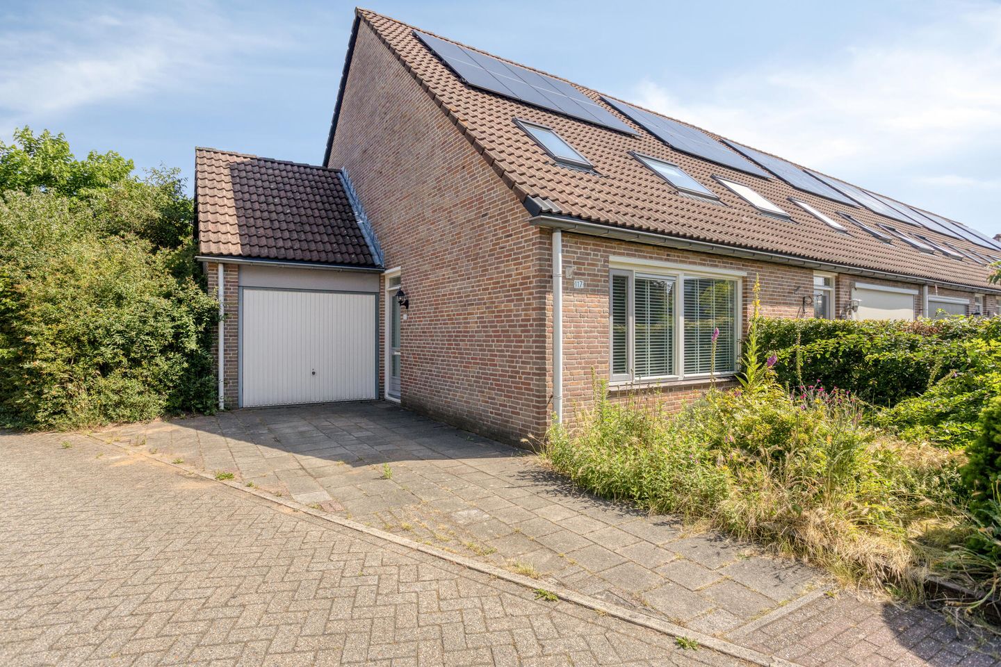 Photo 35 of Grote ratelaar 117