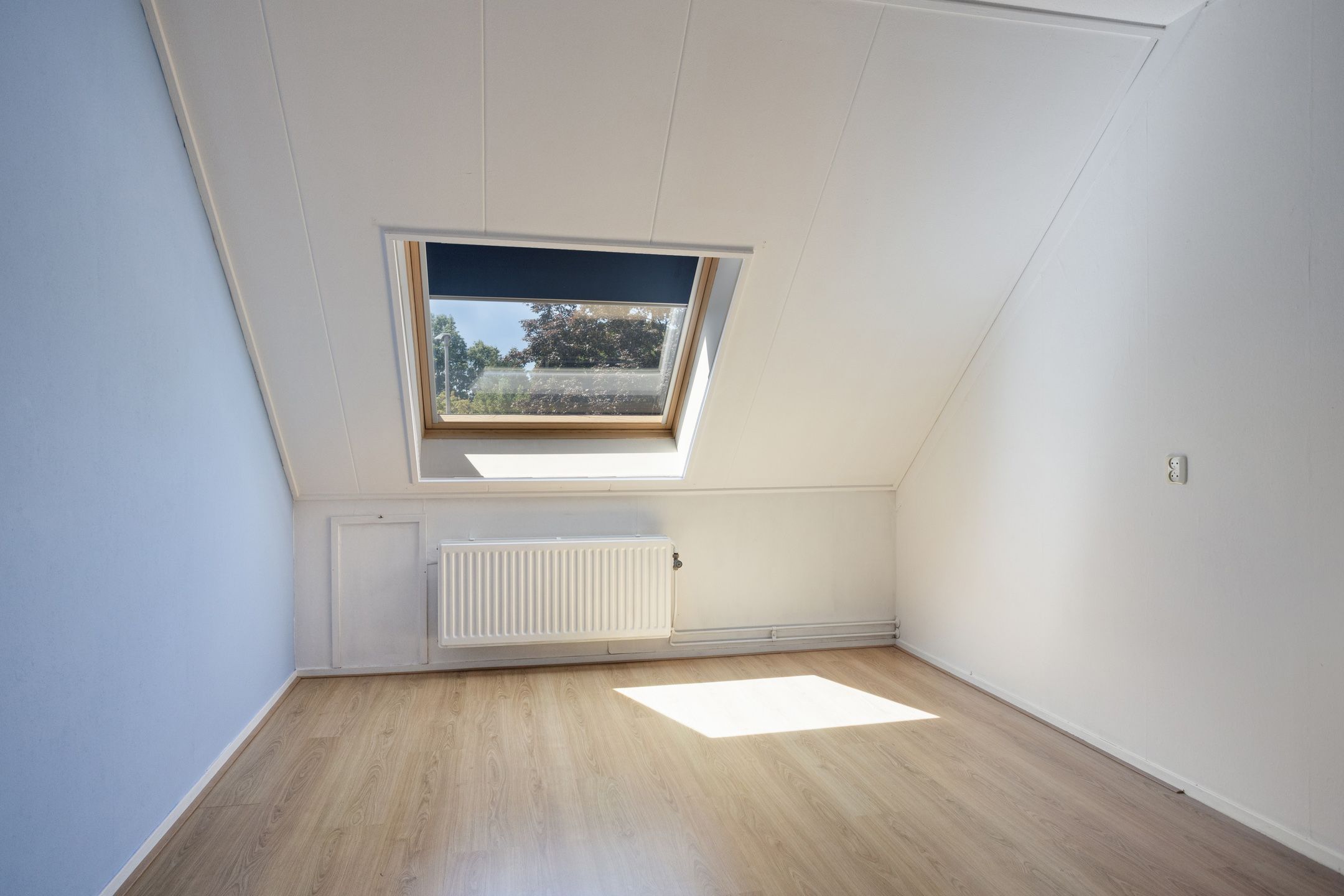 Photo 24 of Grote ratelaar 117