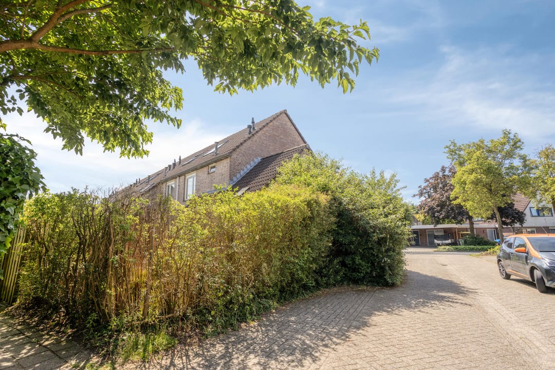 Photo 38 of Grote ratelaar 117