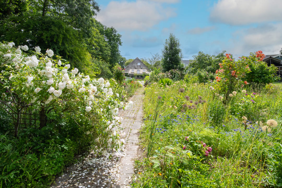 Photo 61 of Wogmeer 105