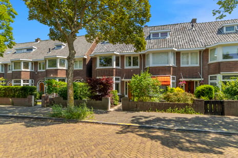 Lyceumstraat thumbnail