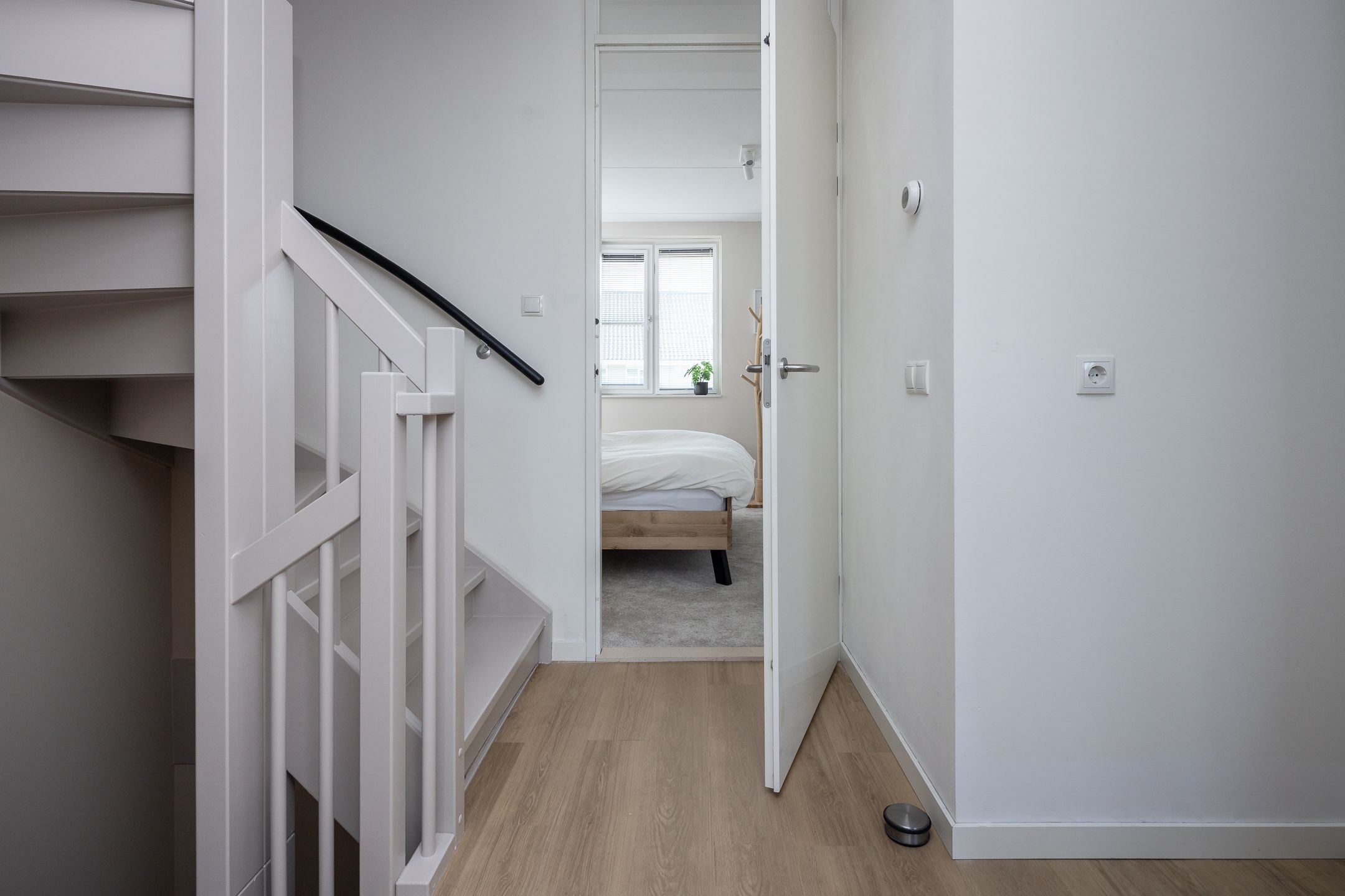 Photo 18 of Blauwborst 6