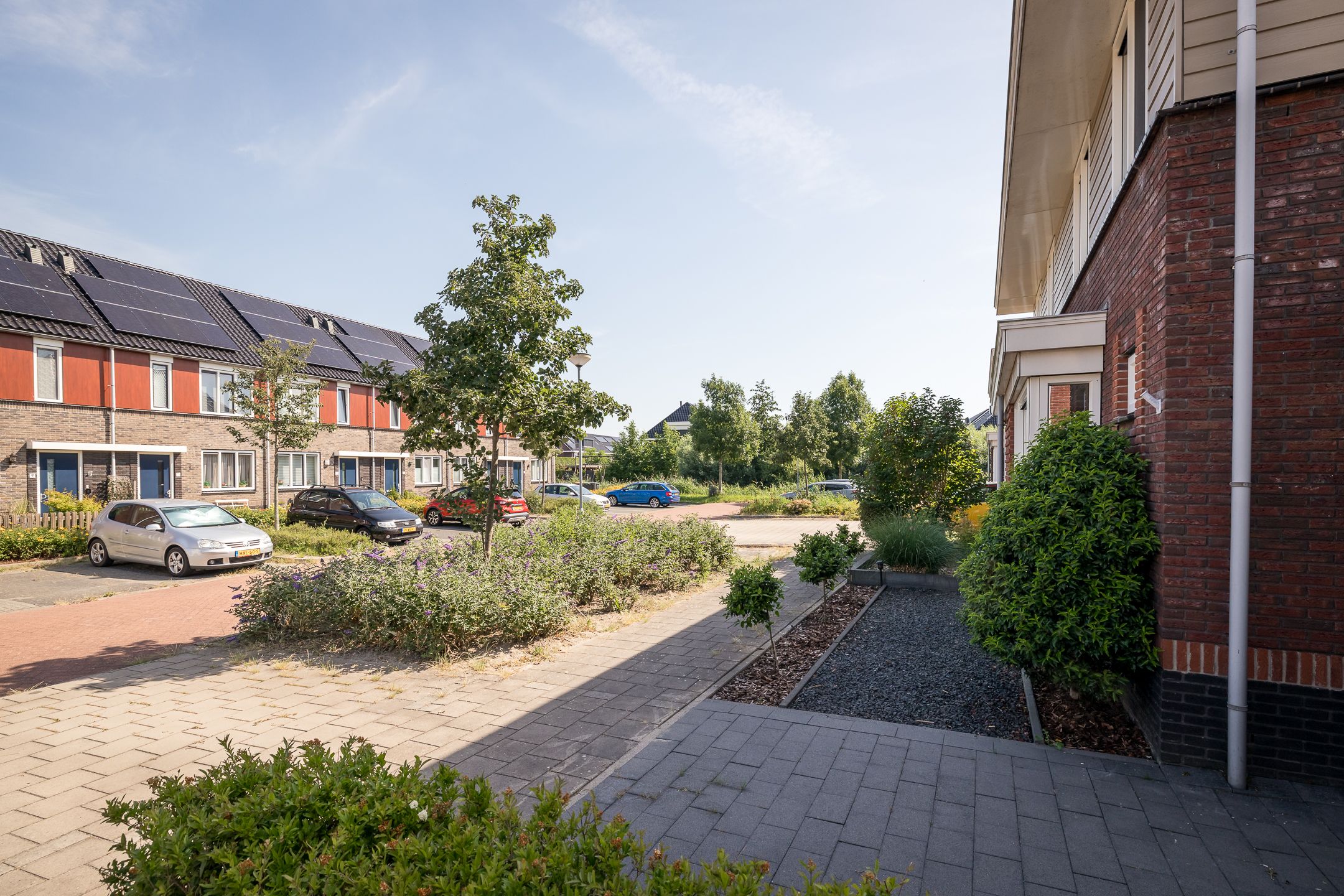 Photo 6 of Blauwborst 6