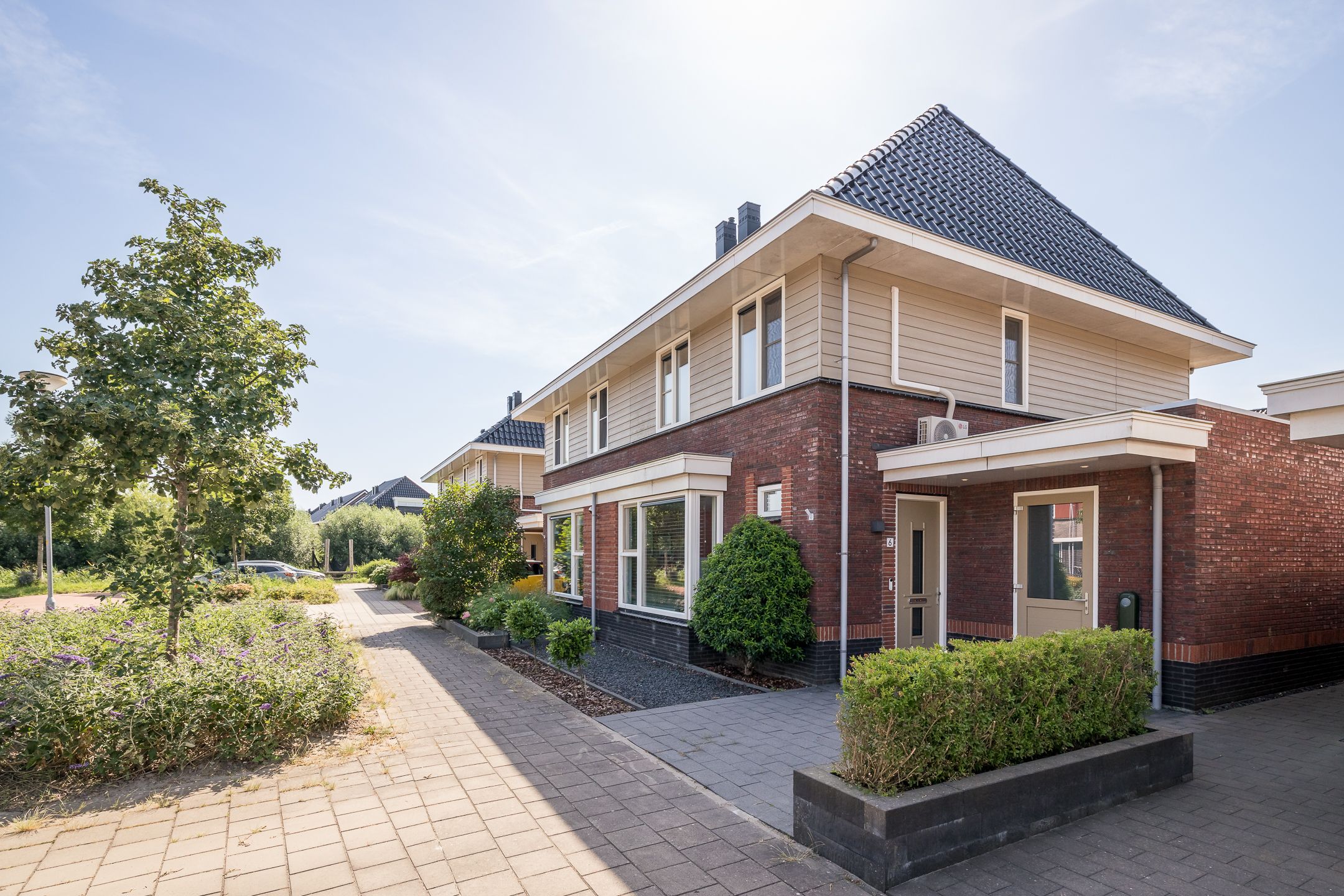 Photo 39 of Blauwborst 6