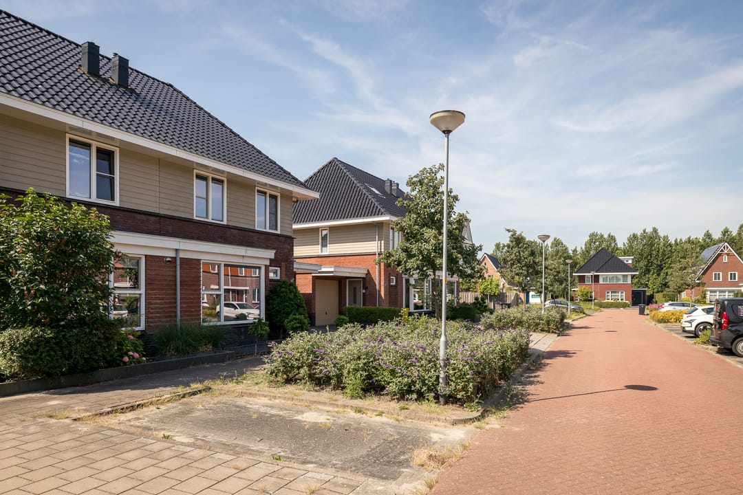 Photo 41 of Blauwborst 6