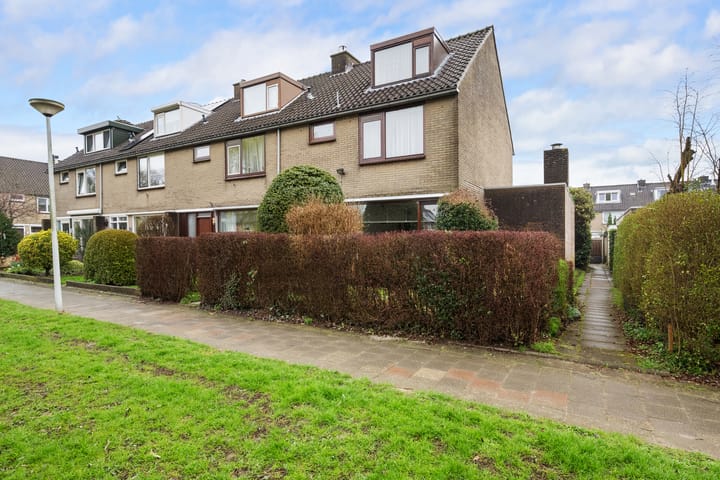 Korenbloem 31