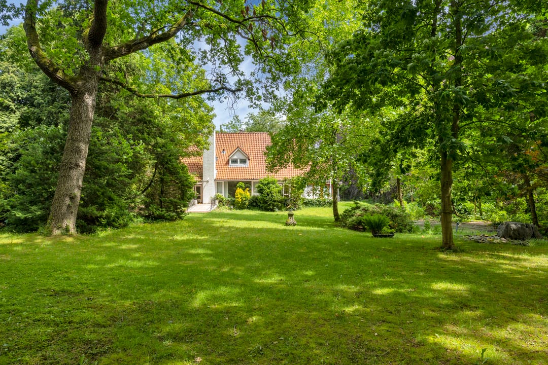 Photo 2 of Van Bronckhorstlaan 12