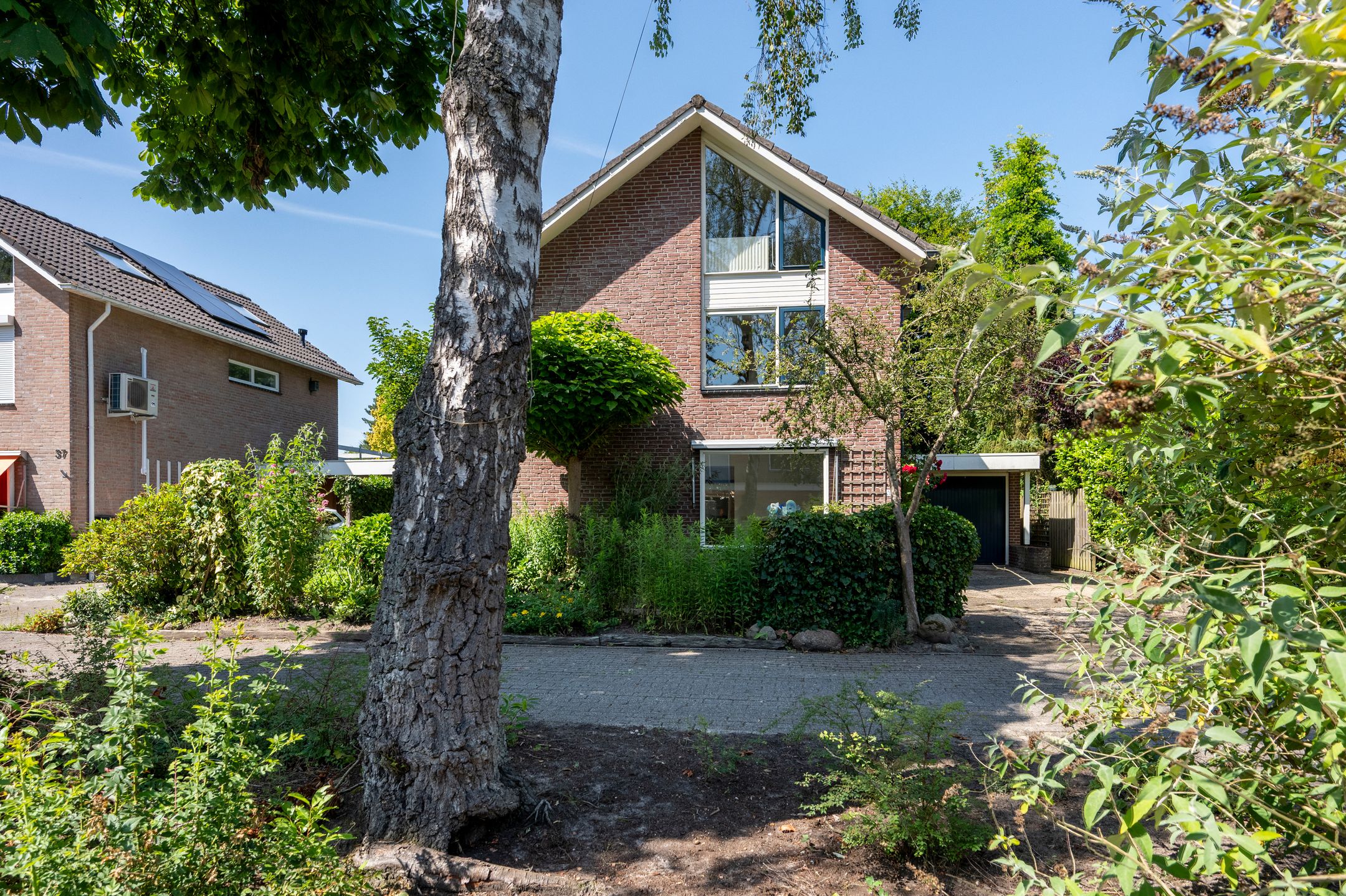 Photo 33 of Borgerbrink 39