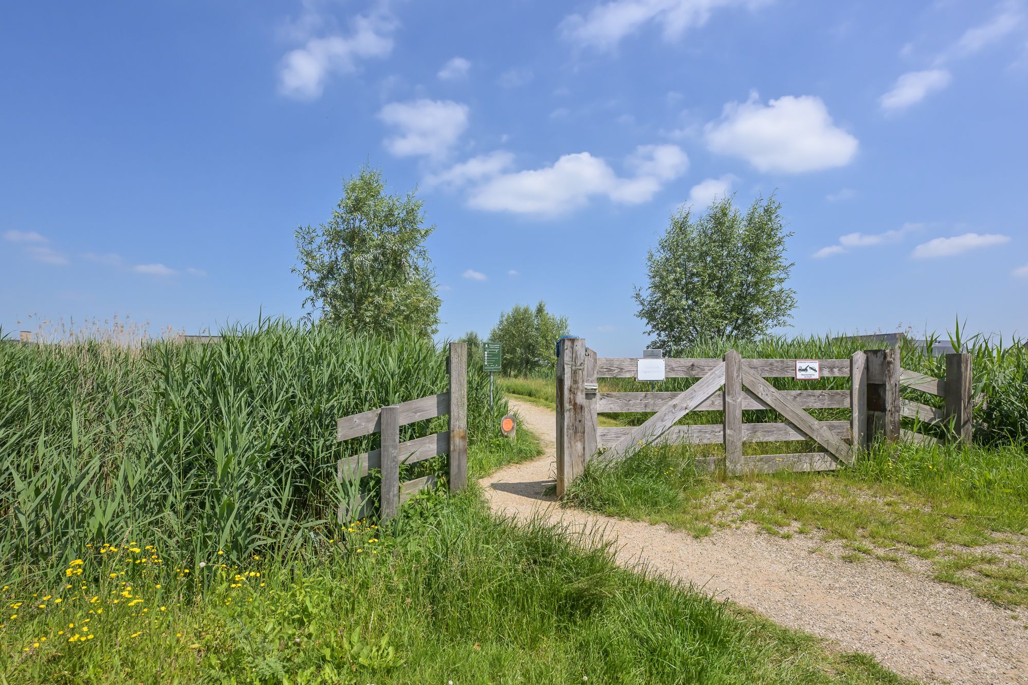 Photo 3 of Sportlaan 2