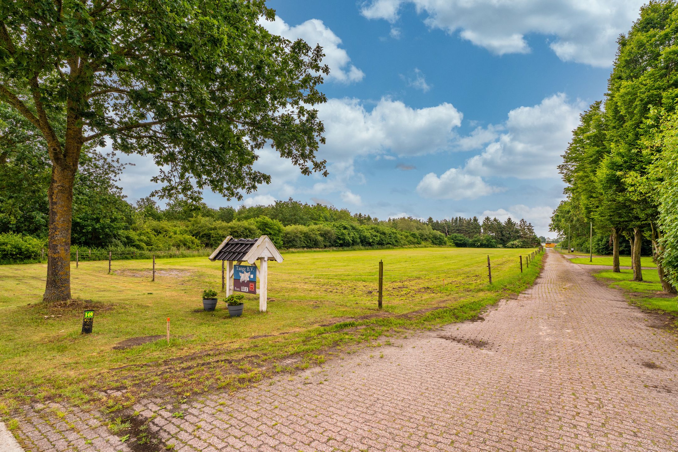 Photo 18 of Jipsingboertangerweg