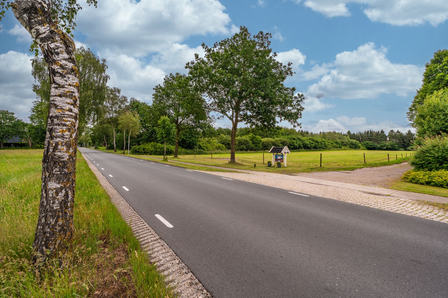 Photo 19 of Jipsingboertangerweg
