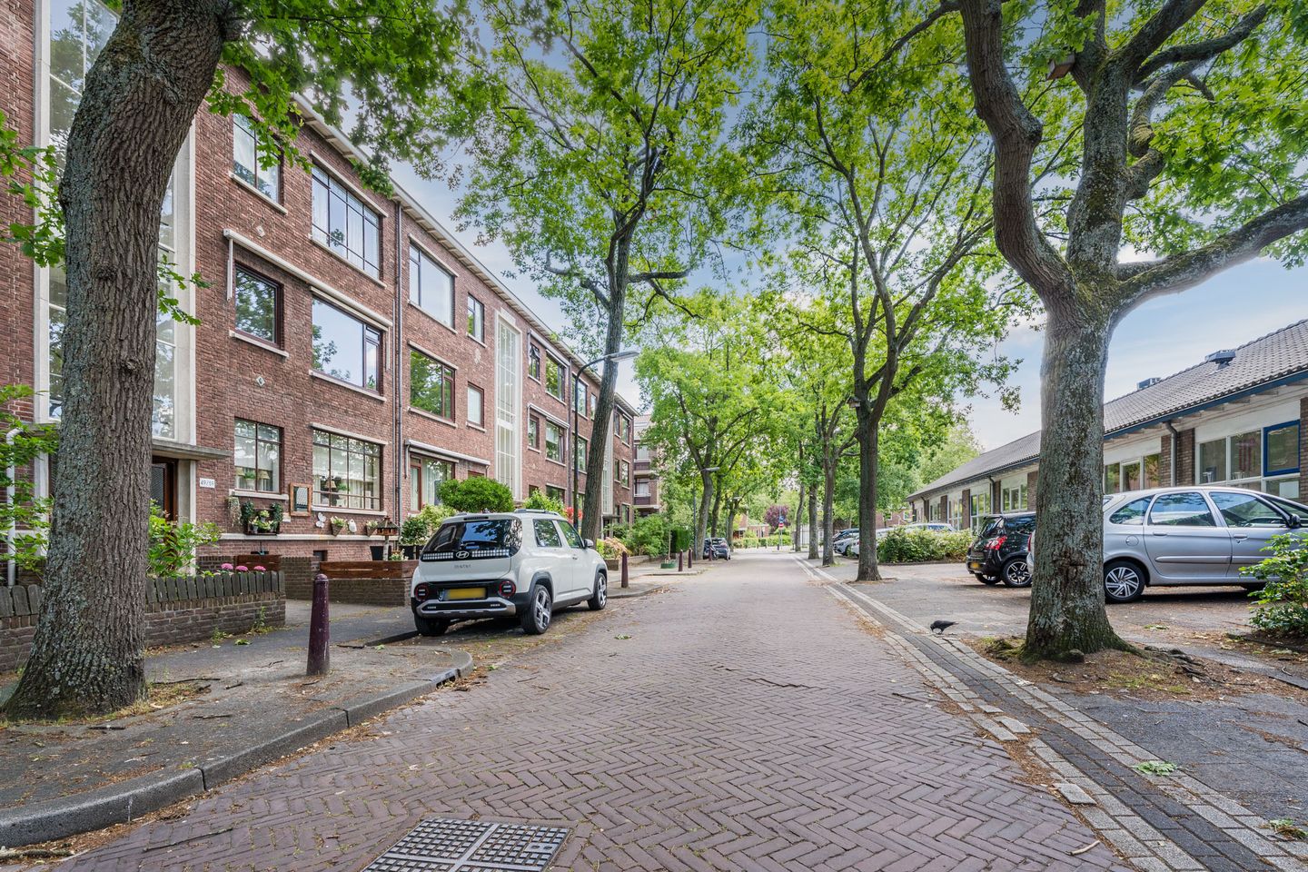 Foto 44 van Daniël Catterwijckstr 57