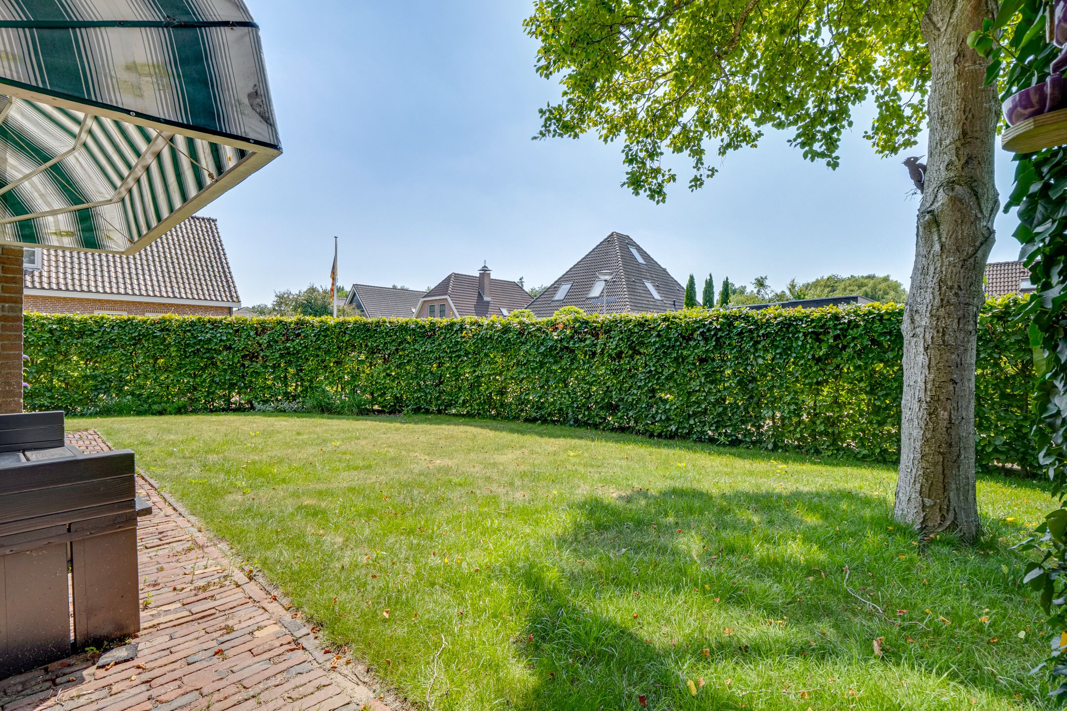 Photo 39 of Pelmolen 31